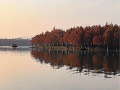 -合肥滨湖国家森林公园