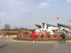 -盐城丹顶鹤湿地生态旅游区