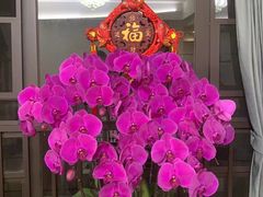 -渔文乐·海鲜大排档(壹品总店)