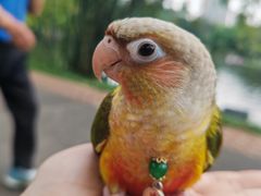 -晓港公园
