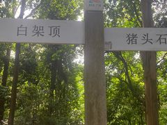 -火炉山森林公园