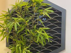 -小徽舟臭鳜鱼(雅清街店)