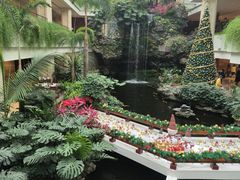 -广州白天鹅宾馆