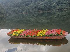 -广州市石门国家森林公园