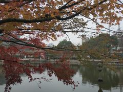 -嘉定紫藤园