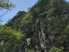 -黎坪国家森林公园