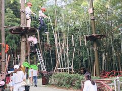 -石燕湖生态旅游景区