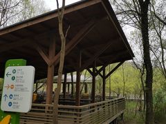 -西湖风景区-江洋畈生态公园