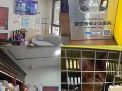 -宠爱国际动物医院·消化内科·心肾内科·ISFM猫友好(望京店)
