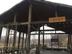 -溱湖国家湿地公园