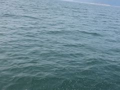 -千岛湖城中湖游船码头