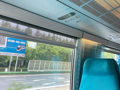 -龙阳路磁悬浮列车总站-停车场