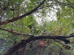 -湖南省立第一师范学校旧址