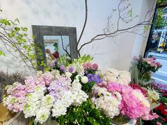 -溪岸路花鸟市场
