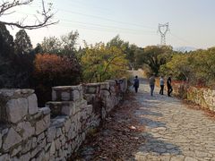 -原山国家森林公园