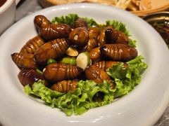-拾柴熏酱-鲜虾水饺(群力店)