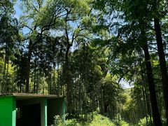 -东明山森林公园
