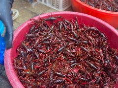 -青石桥市场北1-27号