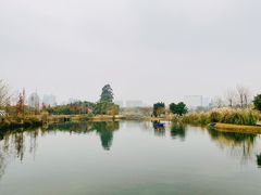 -眉山湿地公园(东坡区)