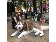 -TrueLove @ Neverland (Husky Cafe)