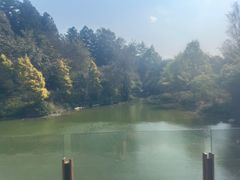 -和顺柏联温泉