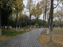-苏州太湖湖滨国家湿地公园