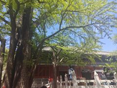 -红螺寺