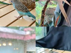 -莫多多餐厅