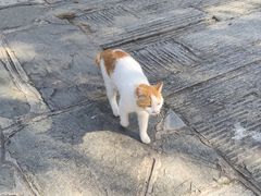 -宝通禅寺