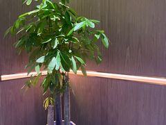 -盛福楼·惠山宴(盛岸路店)
