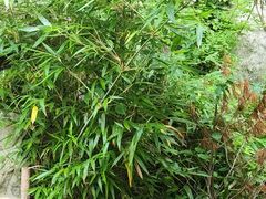 -终南山南五台景区