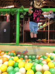 -奇幻丛林(佛罗伦萨小镇店)