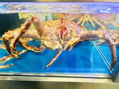 -盒马X会员店(上海森兰商都店)