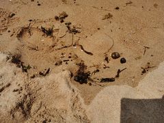 -威海国际海水浴场旅游区