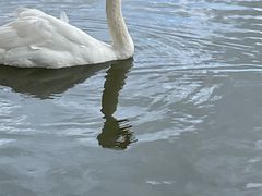 -哈尔滨北方森林动物园