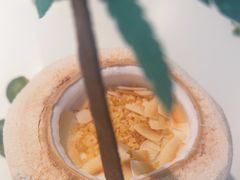 -烹然四季椰子鸡火锅(姚家园万象汇店)