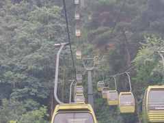 -黔灵山公园