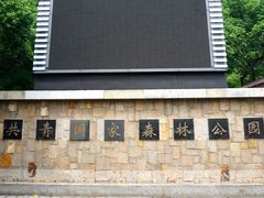 -上海共青森林公园