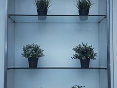 -813芭依珊 BAESAn(皇冠十畝地店)