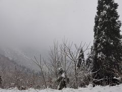 -九峰山