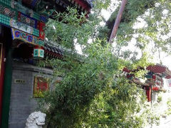 android_upload_pic-北京河北迎宾馆