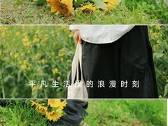 -光明小镇欢乐田园