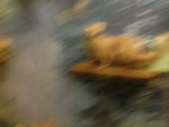 -下渚湖国家湿地公园科普馆