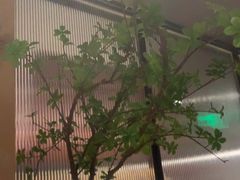 -青年公社烤鸭(肇嘉浜路店)