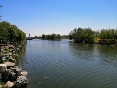 -马家湾湿地公园