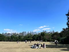 -上海长兴岛郊野公园