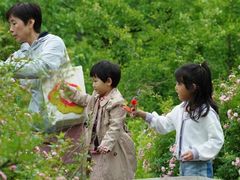 -亲兄弟真人CS团建拓展基地