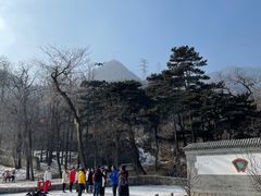 -阳台山自然风景区