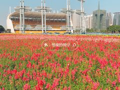 -海心沙亚运公园