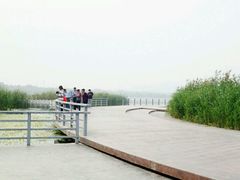 -永定河休闲森林公园